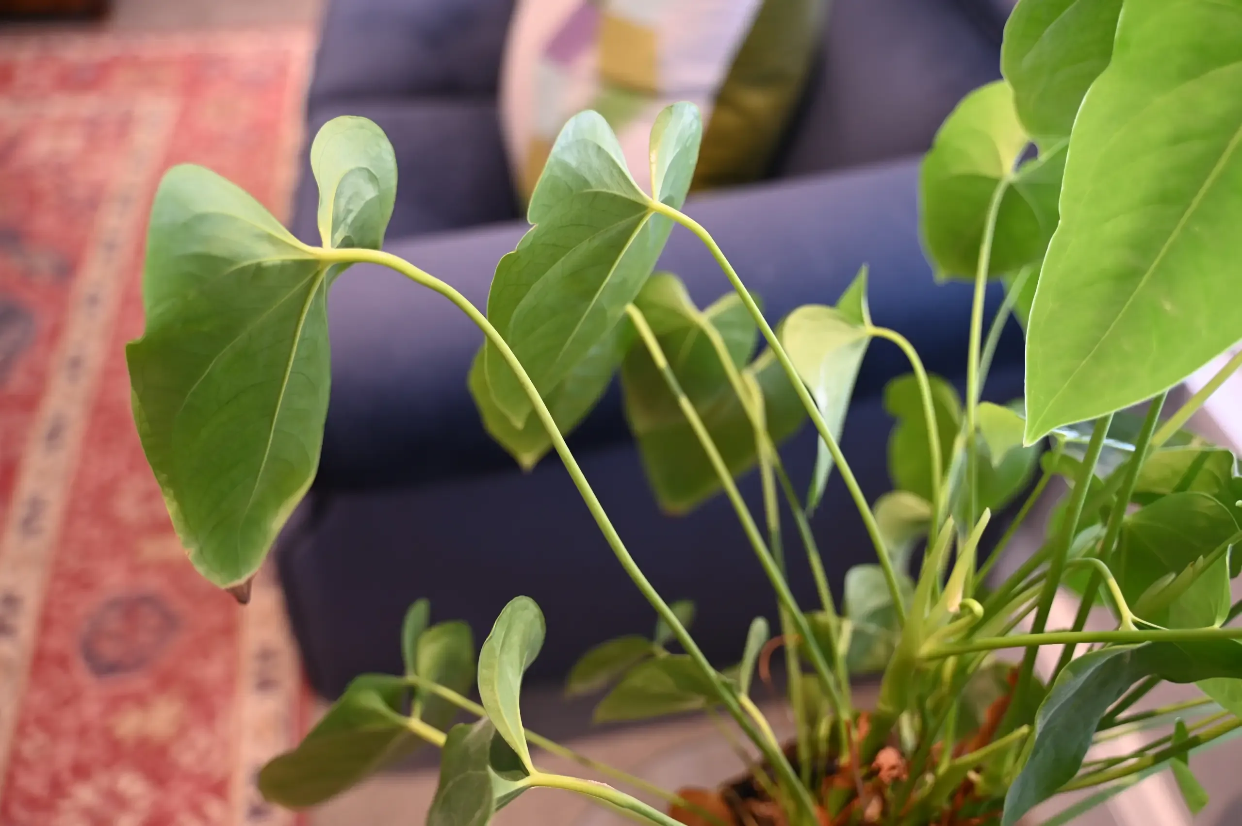 Art books and ceramic vessel